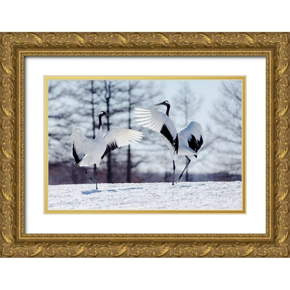 Goff, Ellen 24x17 Gold Ornate Wood Framed with Double Matting Museum Art Print Titled - Japan-Hokkaido-Kushiro Two red-crowned cranes practice their courtship dance