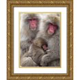 thumbnail image 1 of Goff, Ellen 25x32 Gold Ornate Wood Framed with Double Matting Museum Art Print Titled - Japan-Nagano Portrait of a Japanese macaque cuddling her baby while a relative sits beside them, 1 of 4