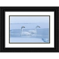 thumbnail image 1 of Goff, Ellen 32x23 Black Ornate Wood Framed with Double Matting Museum Art Print Titled - Japan-Hokkaido A pair of whooper swans swim, 1 of 4
