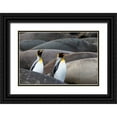 thumbnail image 1 of Goff, Ellen B. 24x17 Black Ornate Wood Framed with Double Matting Museum Art Print Titled - Southern Ocean-South Georgia-King penguins-elephant seals, 1 of 4