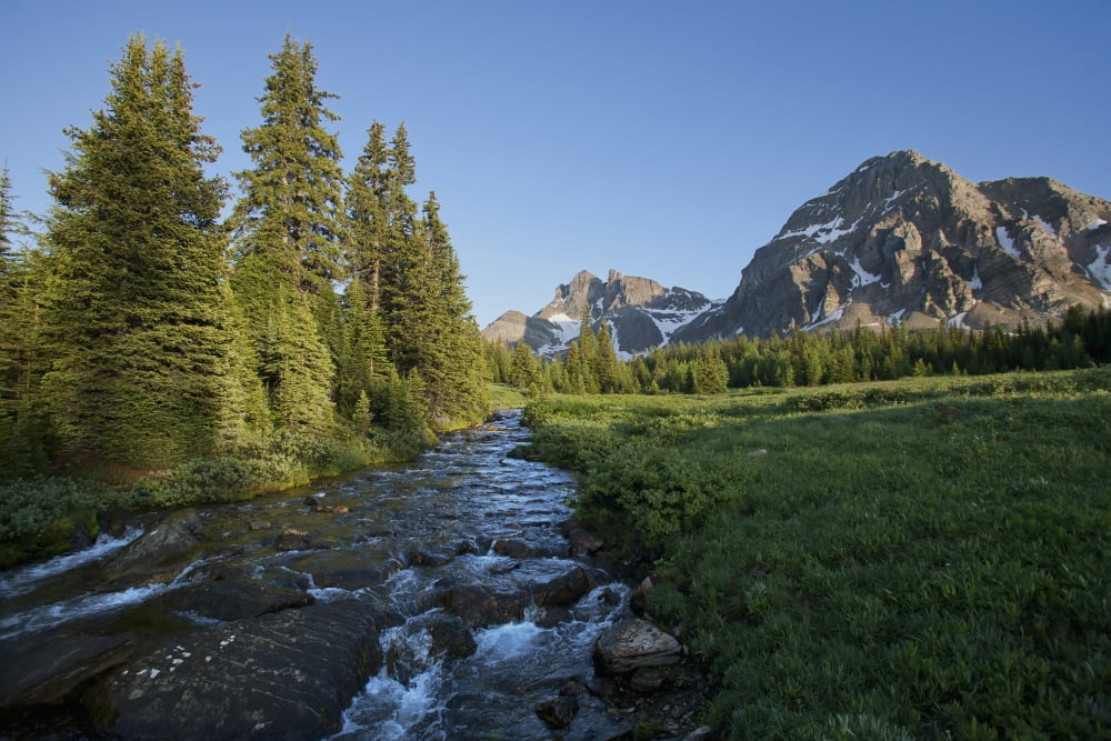 Gog Creek and surrounding mountains in Mount Assiniboine Provincial Park British Columbia Canada Canvas Art - Carl Bruemmer Design Pics (19 x 12)
