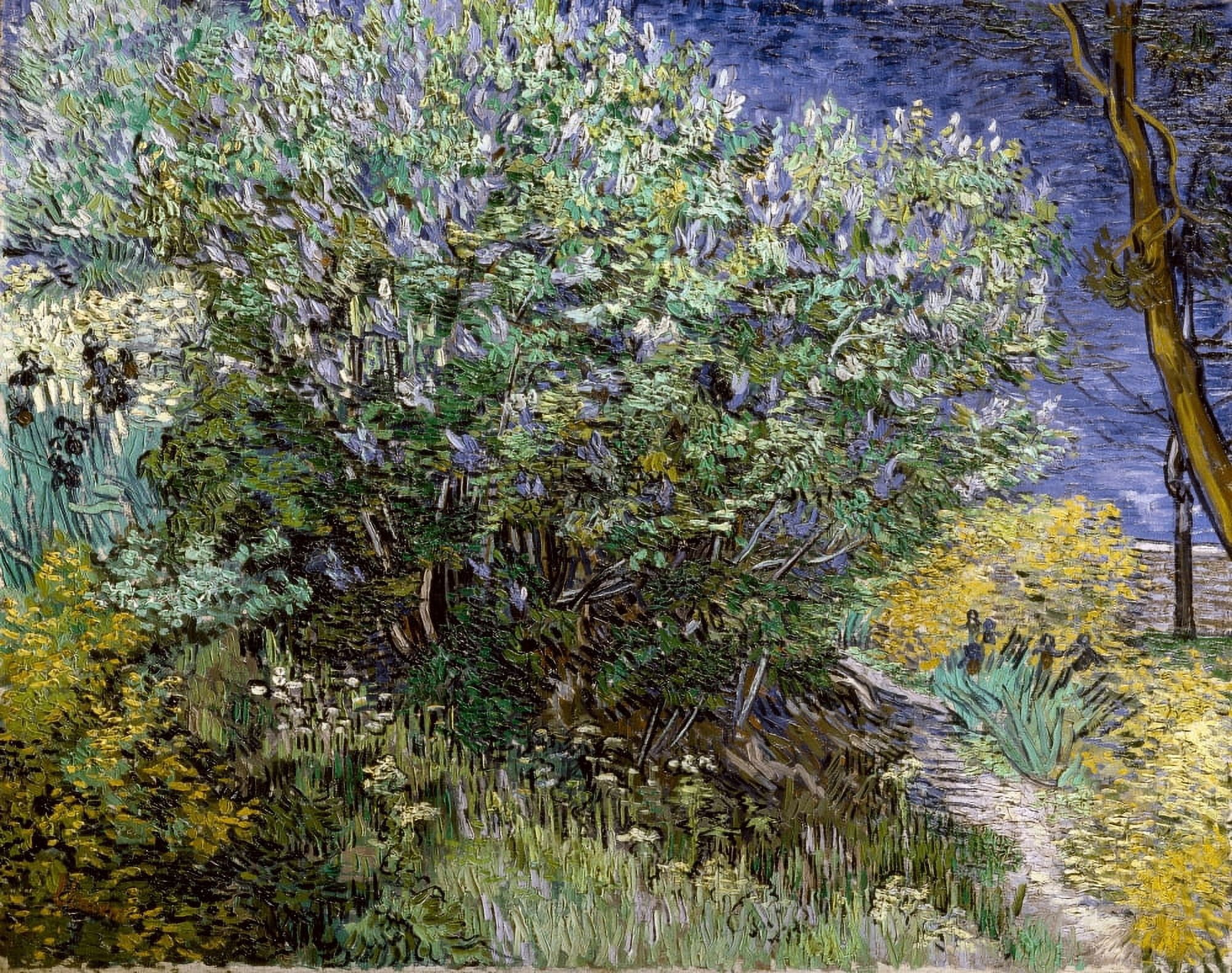 Goghvincent Van (1853-1890) Canvas Art - (36 x 24)
