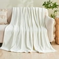 thumbnail image 1 of Gogreen Cozy Blanket Solid Blanket Queen Blanket - 300 GSM Fleece Blanket Queen Size Blanket for Home Decoration, Ultra Soft Blanket Microfiber Queen Blanket (Queen - 90" x 90"), 1 of 8