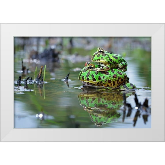 Goh, Shikhei 24x17 White Modern Wood Framed Museum Art Print Titled - The Love