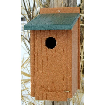 Going Green Bluebird House
