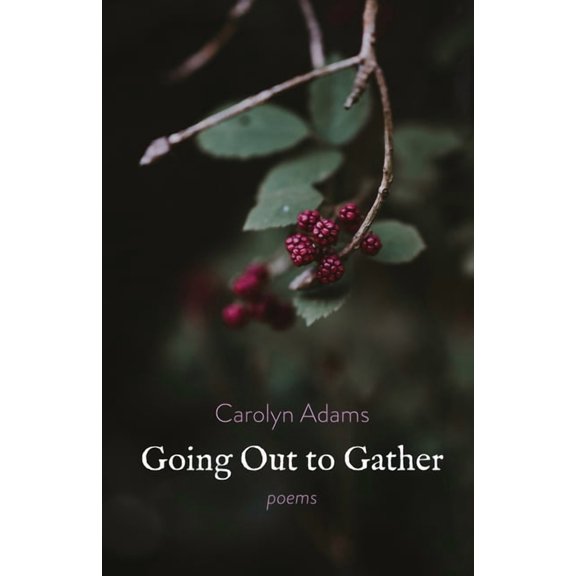 Going Out to Gather (Paperback)