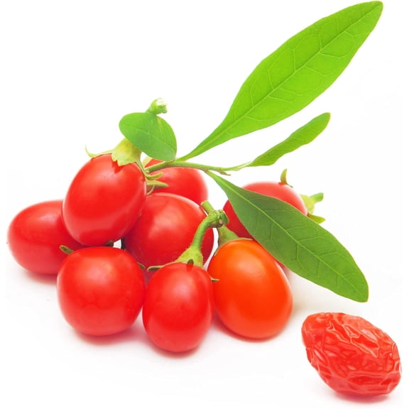 Goji Berry Seeds to Grow - 100+ Seeds - Grow an Exotic Fruit Bearing Tree - So Fun. Must Try!