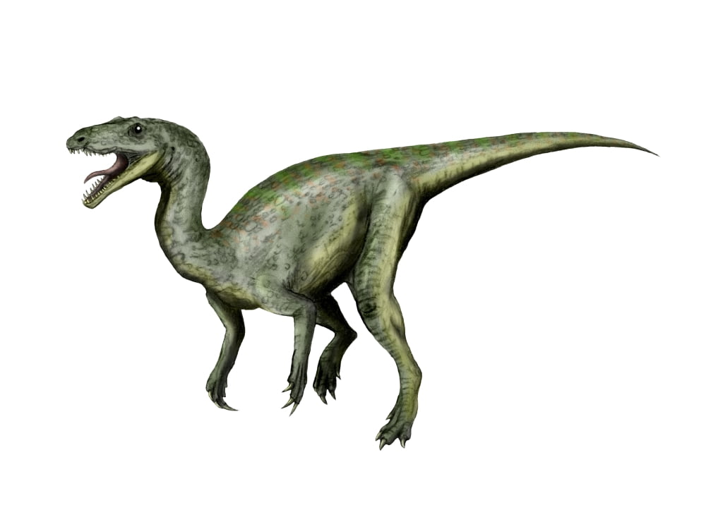 Gojirasaurus dinosaur Canvas Art - Nobumichi TamuraStocktrek Images (33 x 25)