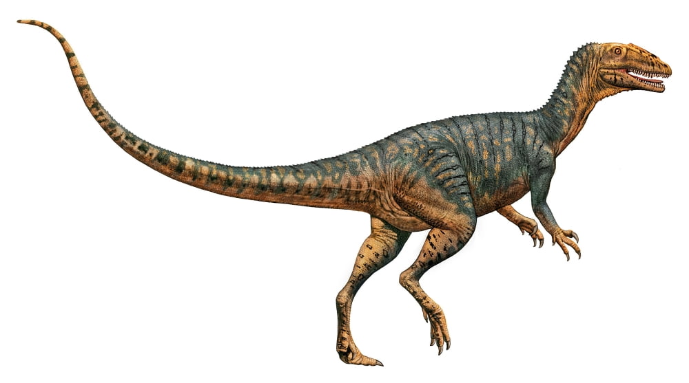 Gojirasaurus dinosaur Canvas Art - Sergey KrasovskiyStocktrek Images (37 x 21)