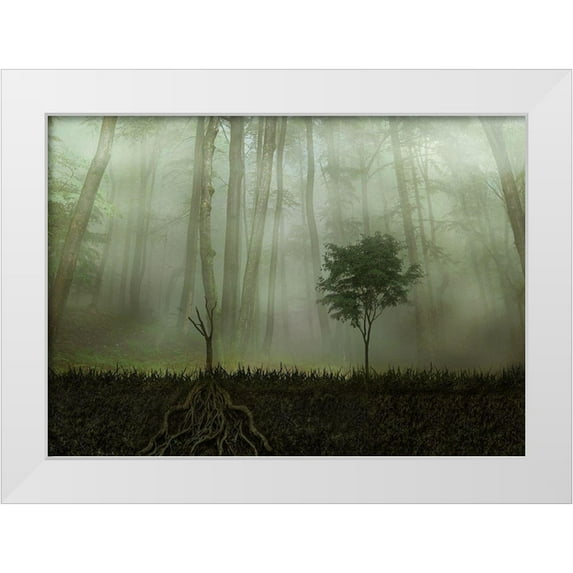 Golchin, Aryana 24x18 White Modern Wood Framed Museum Art Print Titled - Root 2