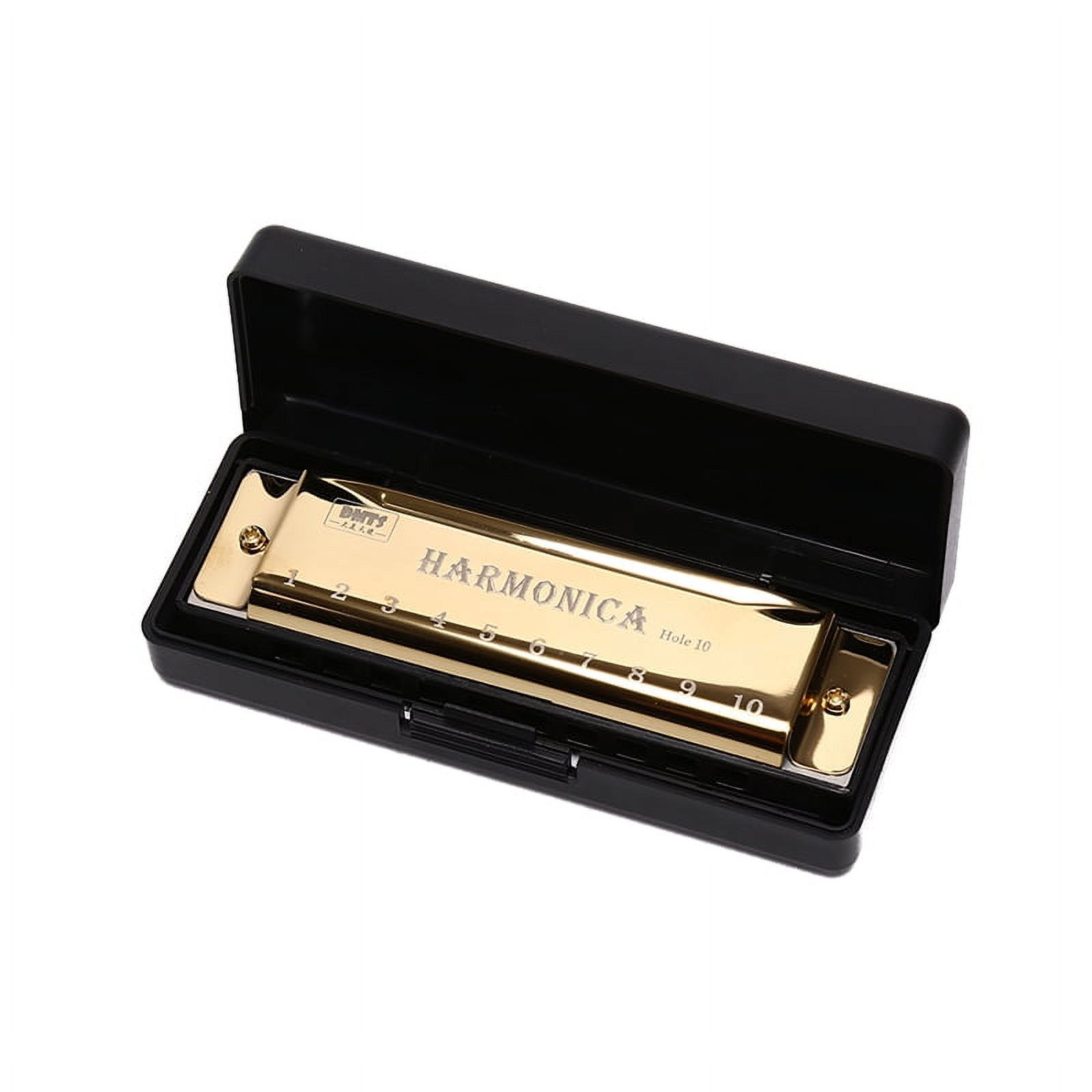 (Gold) 10 Hole Harmonica Mouth Organ Puzzle Musical Instrument Beginner
