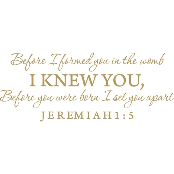 Gold 22" x9" Decaltor Before I formed you in the womb Jeremiah 1:5 Vinyl wall art family mother newborn bible prayer Inspirational quotes and saying home décor