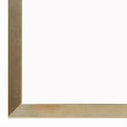 Gold Belmont Float Frame by Studio Decor