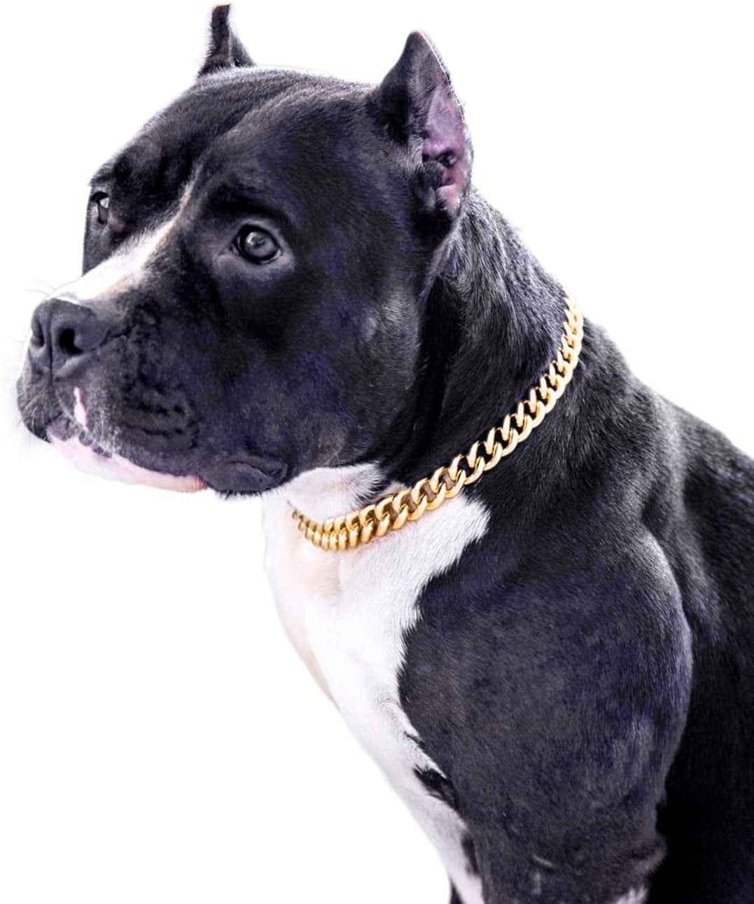 Gold Chain Dog Collar 15mm Cute Dog Collar Pet Gold Necklace Bulldog Light Metal Puppy Jewelry 14 Chain Puppy Costume Walmart