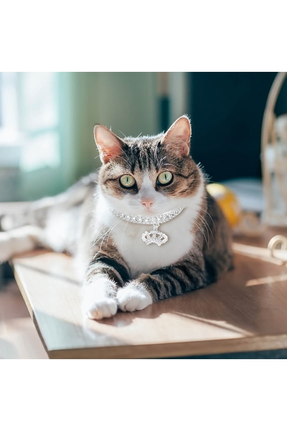 Gold Chain Dog Necklace Metal Cuban Link For Medium And Large Heavy Duty Chew Proof Various Length Options