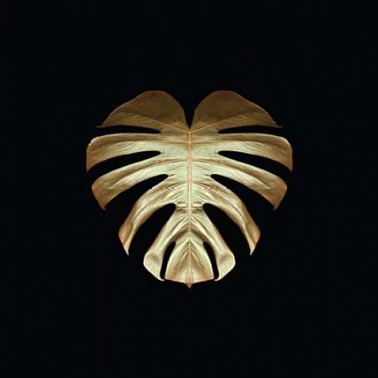 Gold Deco Monstera Canvas Art - Alyson Fennell (24 x 24)
