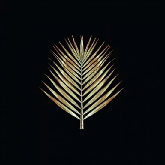 Gold Deco Palm Canvas Art - Alyson Fennell (24 x 24)