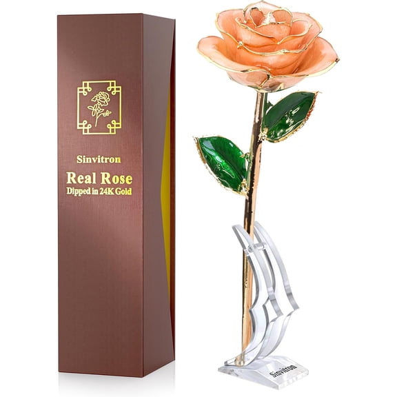 Gold Dipped Infinity Rose Preserved Real Flower Decor in Pink