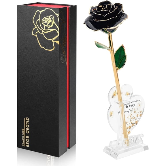 Gold Dipped Infinity Rose in Resin Display Black