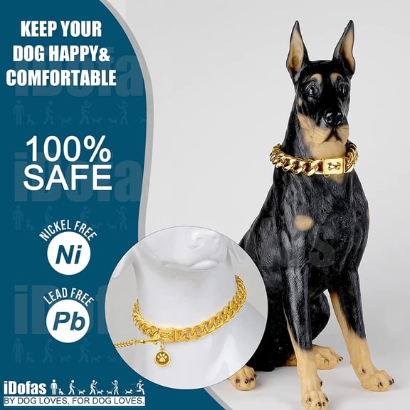 Gold Dog Chain Collar with Buckle for Medium and Large Dogs - 19mm, 26" (18K Gold Plating)