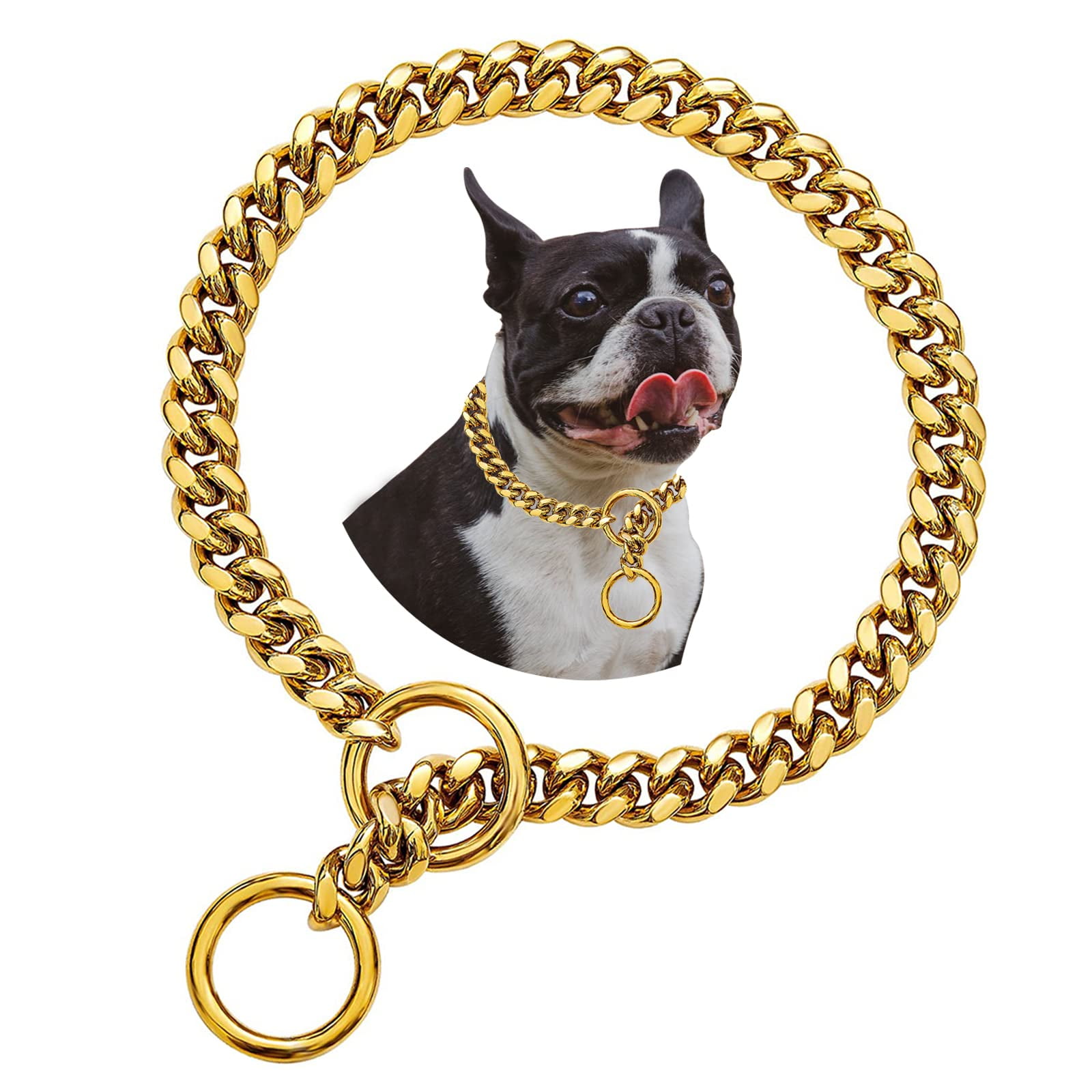 Thick gold clearance chain dog collar