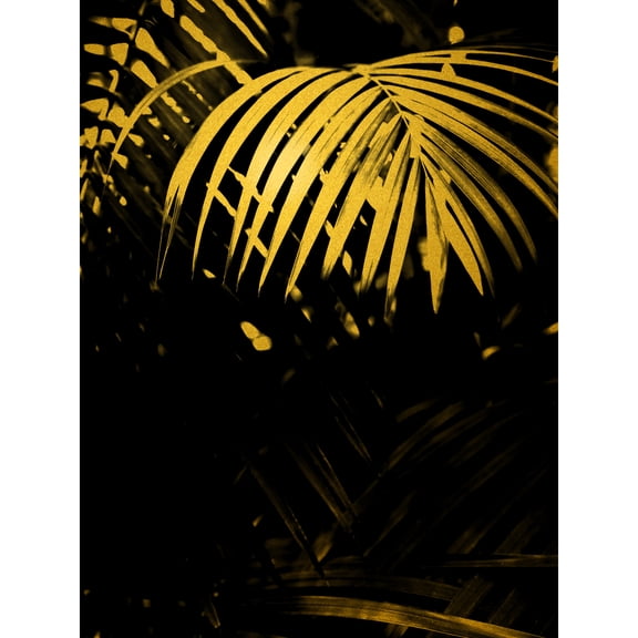 Gold Effect Yellow Black Tropical Plant Palm Leaves Extra Large XL Wall Art Poster Print
