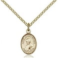 thumbnail image 1 of Gold Filled St. John Neumann Pendant 1/2 x 1/4 inches with Gold Filled Lite Curb Chain, 1 of 1