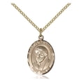 thumbnail image 1 of Gold Filled St. Peter Canisius Pendant 3/4 x 1/2 inches with 18 inch Gold Filled Curb Chain, 1 of 1