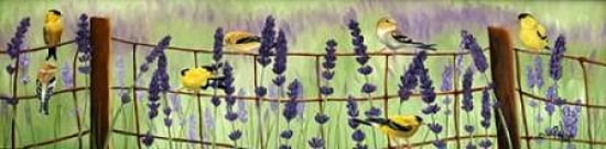 Gold Finch and Lavendar Canvas Art - Julie Peterson (12 x 36)