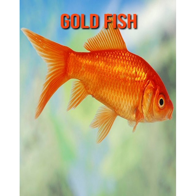 Gold Fish Amazing Facts about Gold Fish (Paperback)