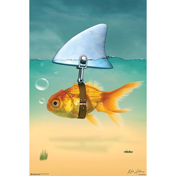 Gold Fish Shark Poster 24x36