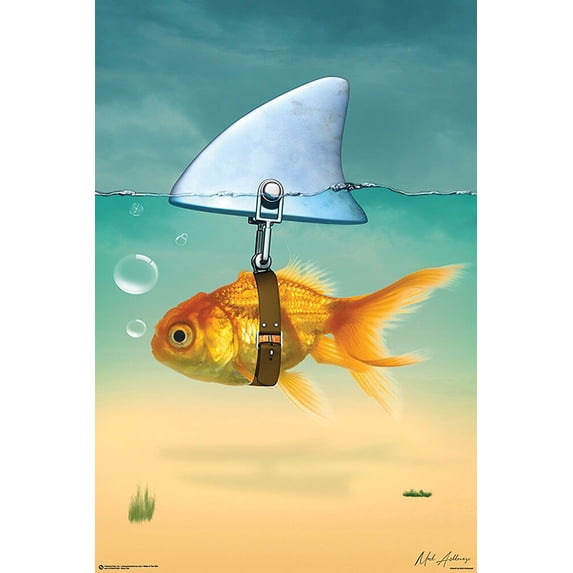 Gold Fish Shark Poster 24x36
