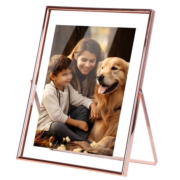 Gold Floating Picture Frame Set of 2, iMounTEK Glass Pressed Flower 8x10 Picture Frames, Tabletop Standing Gold Metal Picture Frame for Photo Display