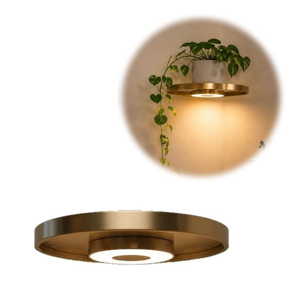 Gold Floating Shelf with LED Lights, Suspended Wall-Mounted Tray, Modern Round Plant Display, Warm Ambient Lighting Decor