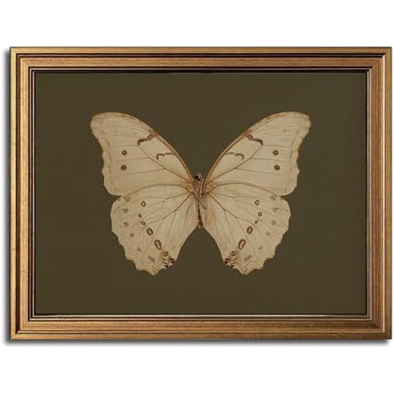Gold Framed Wall Art Vintage Butterfly Canvas Wall Art White Butterfly Moody Insect Artwork Prints Picture for Living Room Bedroom Farmhouse Bathroom Office Decor, 12x16