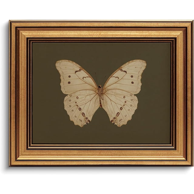 Gold Framed Wall Art Vintage Butterfly Canvas Wall Art White Butterfly ...