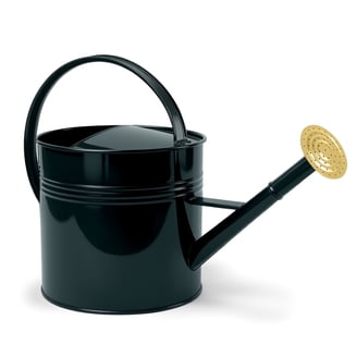Serene Spaces Living Shiny Gold Metal Watering Can, 14.75