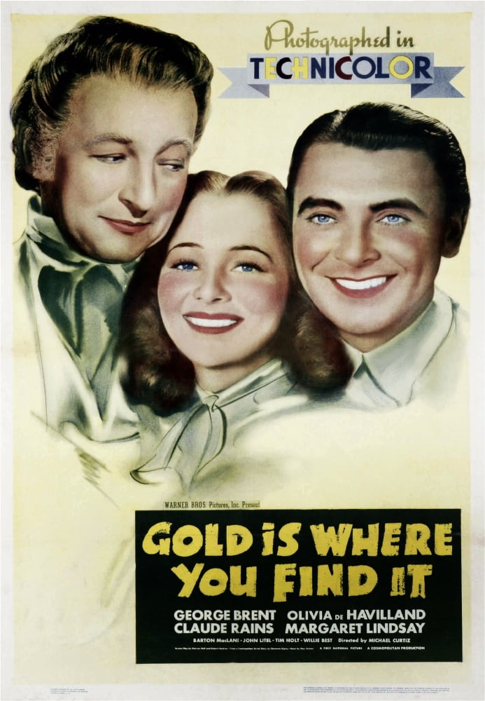 Gold Is Where You Find It U Canvas Art - (24 x 36)