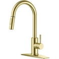 thumbnail image 1 of Single Handle Pull Down Sprayer Kitchen Faucet with Deckplate and Flexible Hose in Brushed Gold, 1 of 7