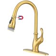 Gold Kitchen Faucet with Pull Out Single Handle High