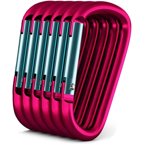 Gold Lion Carabiner 3" Aluminum Carabiner D Shape Buckle Pack, Keychain Clip, Spring Snap Key Chain Clip Hook Buckle - Pink 3" (6 Pack)