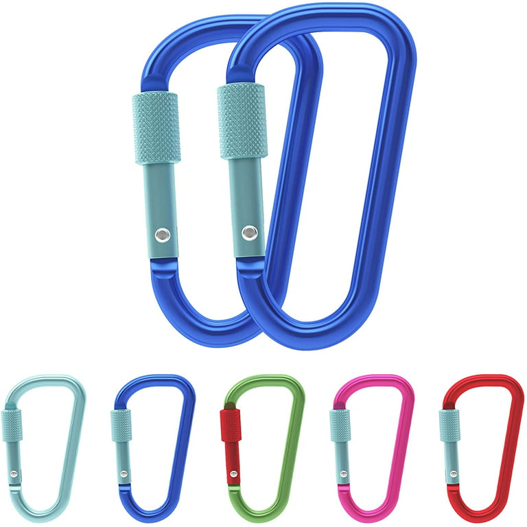 Gold Lion Gear Aluminum Carabiner D Shape Buckle Pack, Keychain Clip,  Spring Snap Key Chain Clip Hook Screw Gate Buckle -Pack of Assorted Color  Carabiners (Multi-Color, 10 Locking Carabiners) 