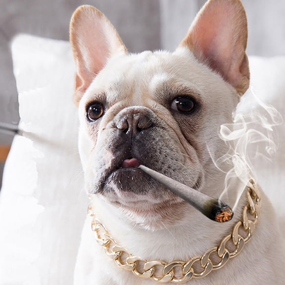 Gold Plated Metal Punk Style Dog Collar Cuban Chain Necklace For Small Medium Breed