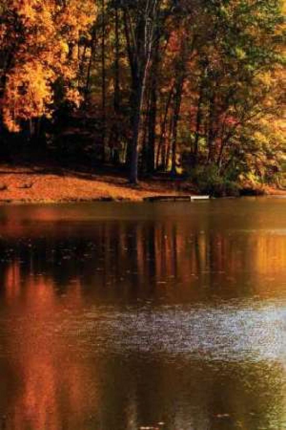 Gold Reflections Canvas Art - Alan Hausenflock (24 x 36)