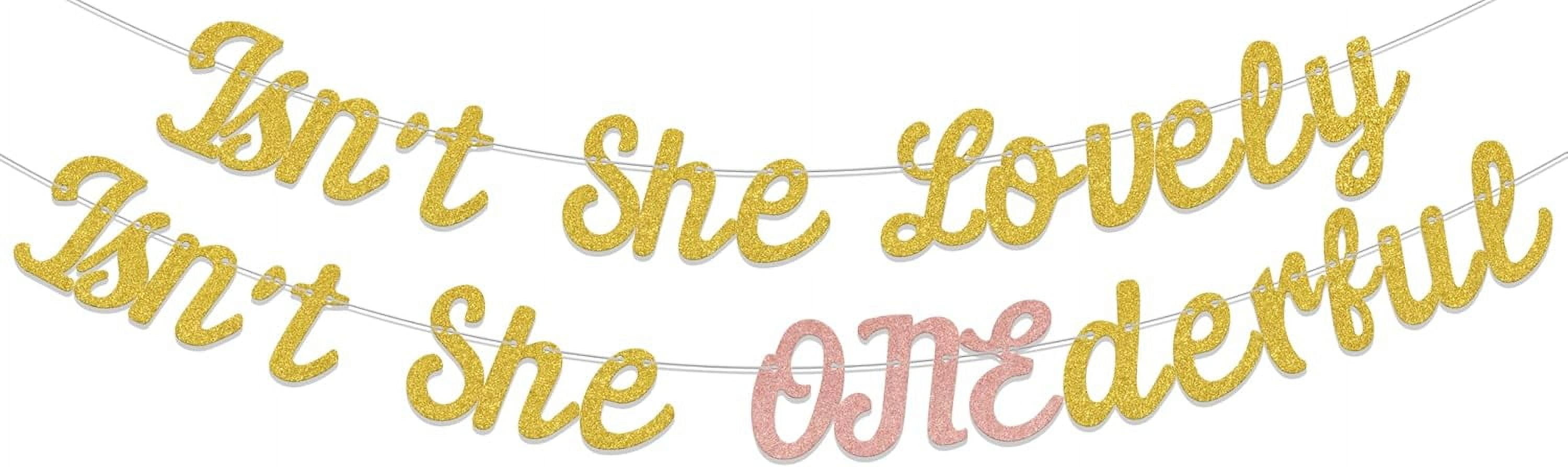 Gold \u0026 Rose Gold Isn't She Lovely Isn't She ONEderful Banner, Happy 1st Birthday  Decorations, One Year Old Girl Bday Decorations, A Little Princess First Birthday  Party Supplies - Walmart.com, image size:3000x894