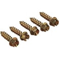 thumbnail image 1 of Gold Screws New Ice Screws - Gold - 5/8" - 1000, 1250-0058, 1 of 1