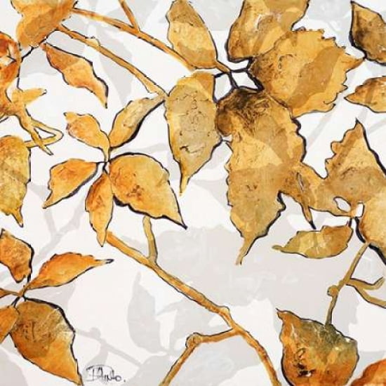 Gold Shadows I Canvas Art - Patricia Pinto (24 x 24)