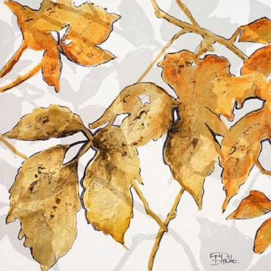 Gold Shadows II Canvas Art - Patricia Pinto (24 x 24)
