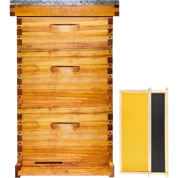 Gold Standard 10 Frame Bee Hive Beeswax Coated Includes Beehive Frames and Foundations (2 Deep Boxes & 1 Medium Box)