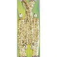 thumbnail image 1 of Gold Suspenders Halloween Costume Accessory, 1 of 2